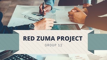 Group 12  - Red Zuma Project