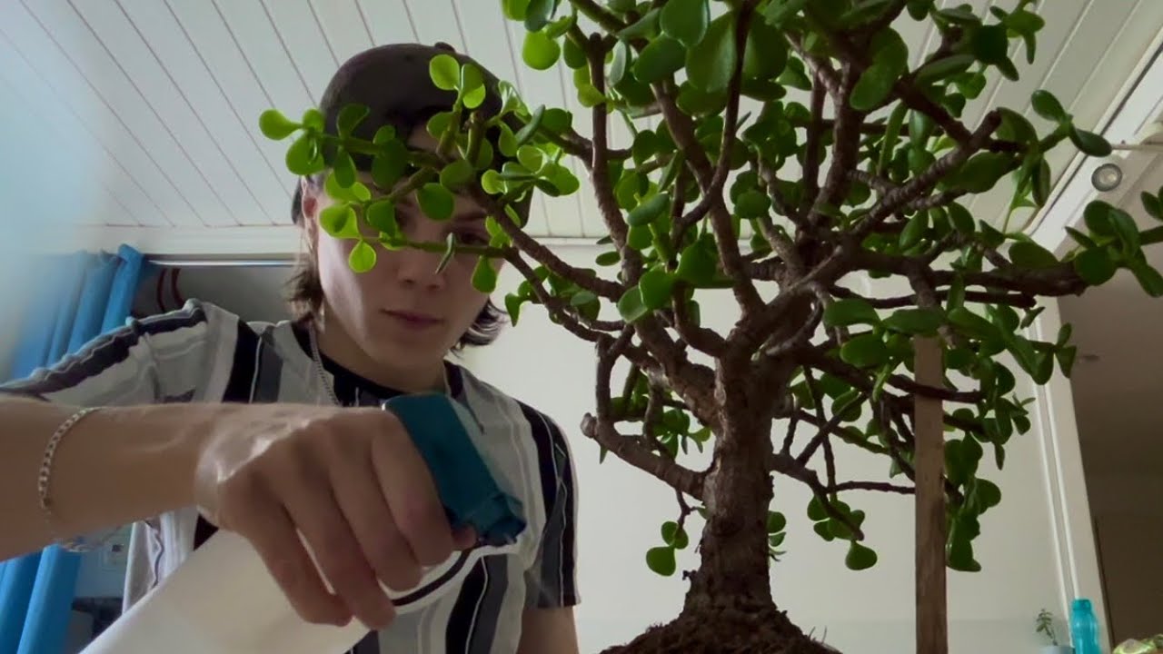 ASMR JARDINAGE