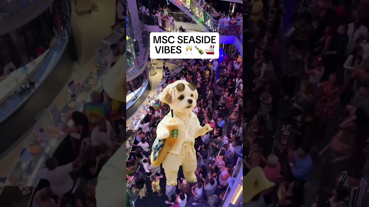 MSC SEASIDE VIBES 🚢🥂🍾 #morandofora #cruise #msccruise