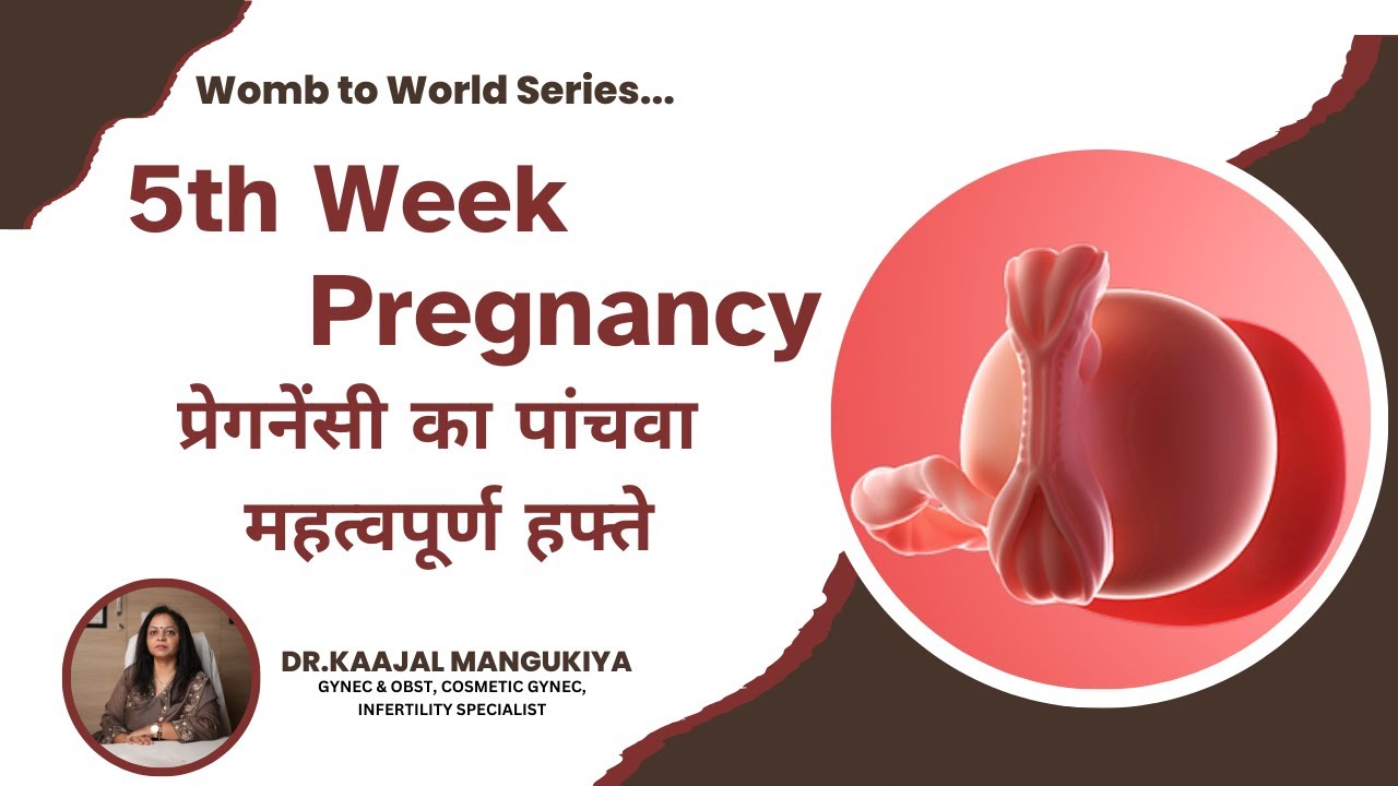 5th Week of Pregnancy: Baby Development, Symptoms & Important Tips ...