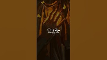 #قران_كريم#المنشاوي#عبدالرحمن_مسعد#عبدالباسط_عبدالصمد#قران_كريم#سورة_البقرة #لايك#سورة_الكهف #سورة