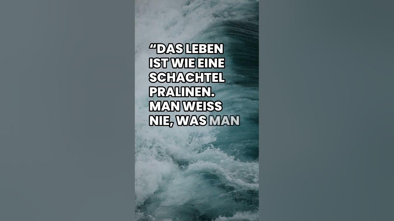 Das Leben ist eine Pralinenschachtel! 😱 Was steckt drin? shorts 