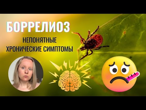 БОРРЕЛИОЗ: ТЯЖЕЛАЯ ХРОНИЧЕСКАЯ БОЛЕЗНЬ ПОСЛЕ УКУСА КЛЕЩА. ЧТО ЭТО ТАКОЕ?