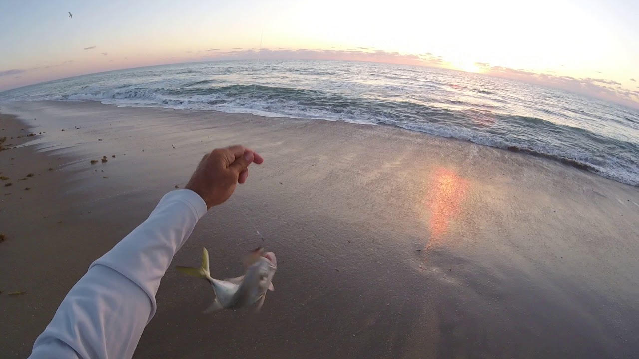 Surf Fishing with Top Water Lures YouTube