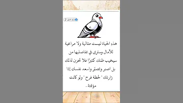 اقوال وحكم عن الحياة اقتباسات وخواطر مؤثرة عبارات وحالات واتس دينية 