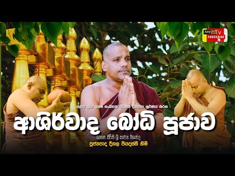 ජය ශ්‍රී මහා බෝ සමිඳු ආශිර්වාද බෝධි පූජාව | Sinhala Buddhist Bodhi Pooja Kavi| Any hub Tv
