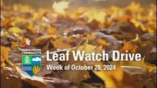 Leaf Watch Drive | Week of October 28, 2024