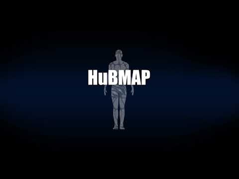 HuBMAP Overview