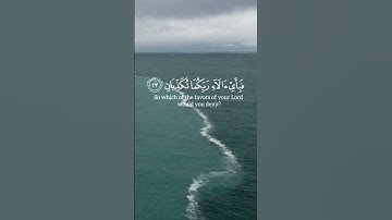 #القرآن_الكريم #تلاوات #ياسر_الدوسري #تلاوة_خاشعة