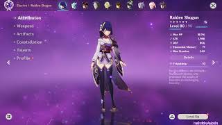 Raiden Shogun Build | Asia Account