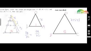 2005 CE MATH #29 past paper triangle ratio