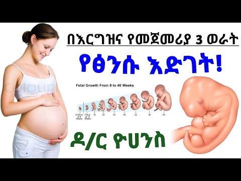 ቪዲዮ: የ mitochondria ውስጠኛው ሽፋን ለምንድነው?