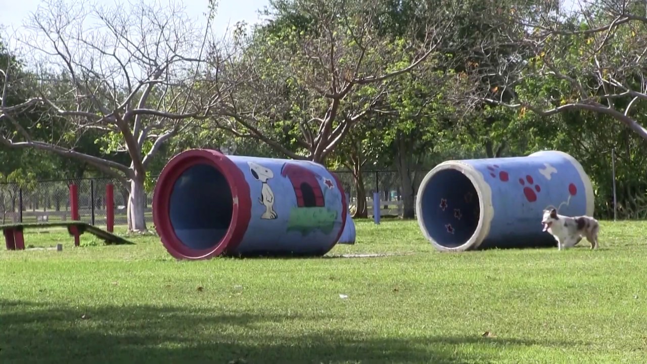 Amelia Earhart Park Weather