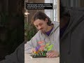 New LEGO Botanicals Woodland Mushrooms just revealed | LEGO Certified Stores Australia &amp; New Zealand