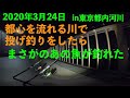 【東京の釣り】3月に大都会の川投げ釣りしたら何が釣れるか試してみた結果