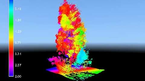 Forests undergo laser scans