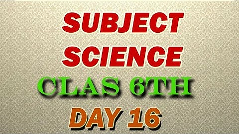 class 6/science/day 16/activity sheet 16/English medium/semi English/bridge course/2022-23/answer