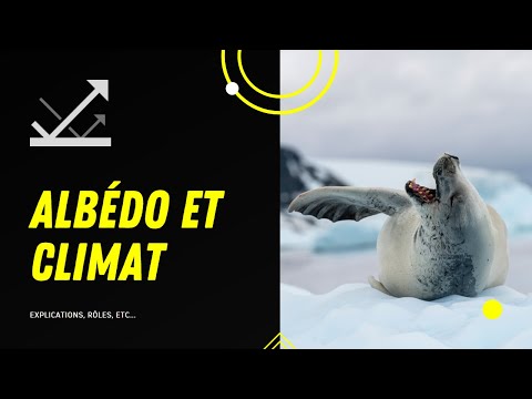 COMMENT LA FONTE DES GLACES RÉCHAUFFE LE CLIMAT ? (LE PHÉNOMÈNE D&rsquo;ALBÉDO)