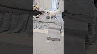 엄마는 내세상이고 전부야