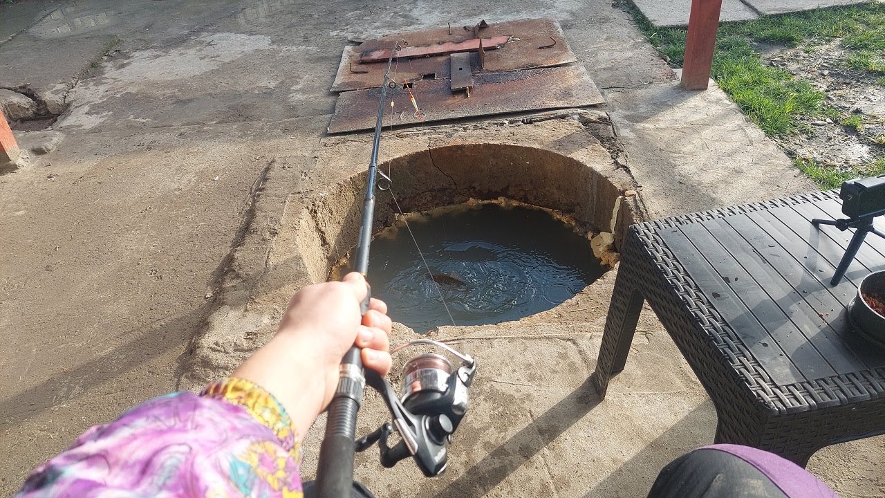 Prind peste în puț