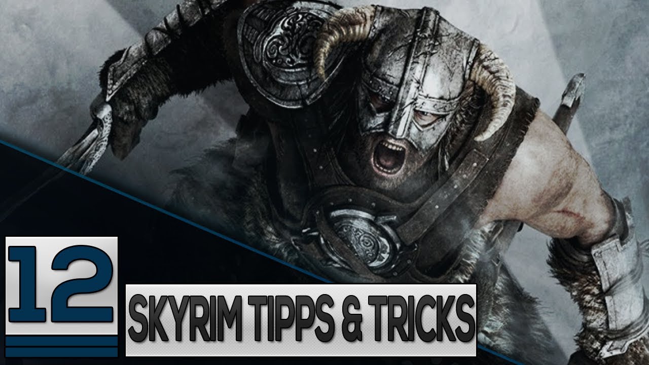 Skyrim Begleiter Skyrim Begleiter