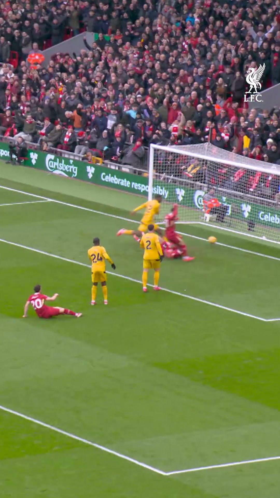 Determination From Diaz To Score ?