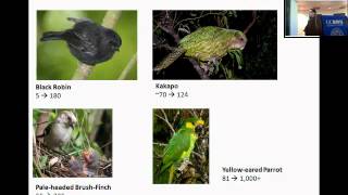 Against the Odds: the Science Politics and Surprising Success of Conserving Endangered Species
