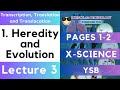 Heredity and Evolution 10th Transcription, Translation and Translocation Maharashtra Board Science X