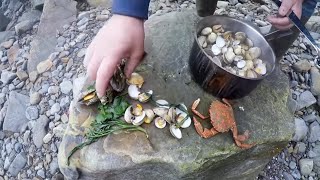 Giant Carnivorous Anemones  and a Winter Foraged Feast with Craig Evans by Coastal Foraging With Craig Evans 33,466 views 4 years ago 13 minutes