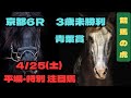 【 4月25日 (土) 注目馬 】【青葉賞】 明日はホームランを狙って。