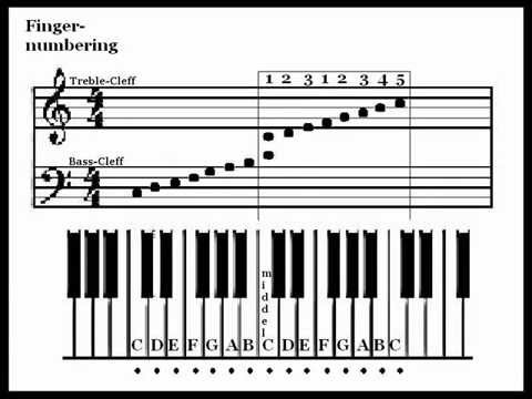 How To Read Sheet Music The Basics Youtube