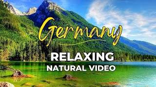 Relaxing Nature Video Germany | Amazing Nature Scenery