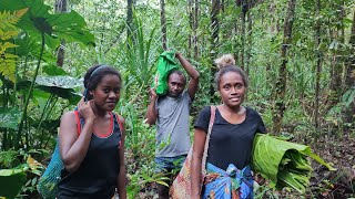 Digging Swamp Taro | Village life | Solomon Islands