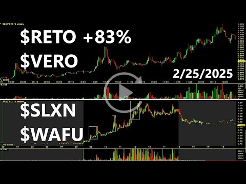 $RETO $VERO $SLXN $WAFU Top Stocks Replay &amp; Review