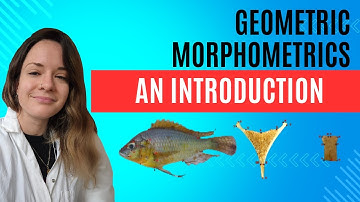 Geometric Morphometrics: An Introduction