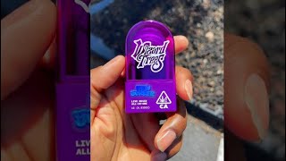 WIZARD TRESS INSIGHT ON THE NEW LIVE RESIN AIO 
