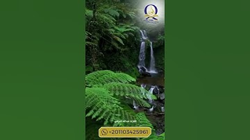 قرآن كريم بصوت جميل #دويتو #تعليم_عن_بعد #اكسبلور #حفظ_القرءان #قران_كريم