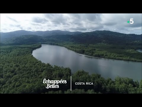 Vidéo: Surplombant la jungle au Costa Rica