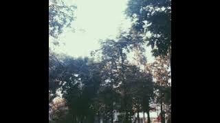 Puisi Anniversary By Ayu Lestari