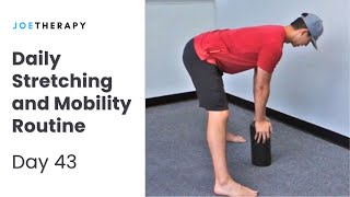 Daily Stretching and Mobility Routine - Day 43