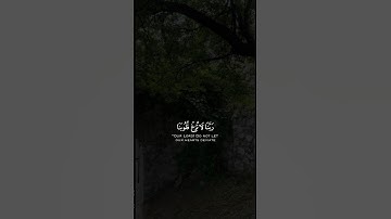 {رَبَّنَا لَا تُزِغْ قُلُوبَنَا بَعْدَ إِذْ هَدَيْتَنَا} || القارئ مشاري العفاسي .