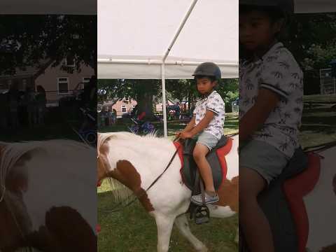 Playtime #short #playground #shorts #pony #ride #summer #summeractivities #forkids #fun #dutch #fyp