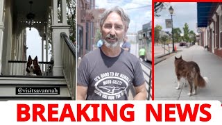 Very SadNews ! For American Pickers’ Fans | Mike Wolfe's Heartbreaking News! It Will Shock You!