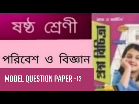 ভিডিও: স্কলিওডন কুকুর মাছ কেন?