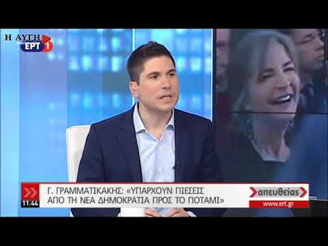 Γ. Γραμματικάκης: Υπάρχουν πιέσεις από τη Ν.Δ. στο ΠΟΤΑΜΙ