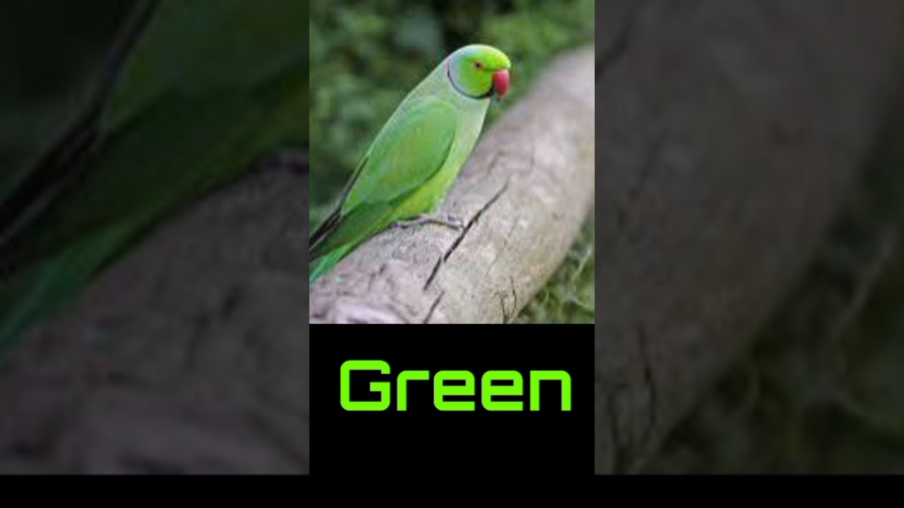 Some colour's english name