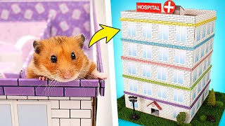 為小倉鼠DIY五層樓的醫院迷宮