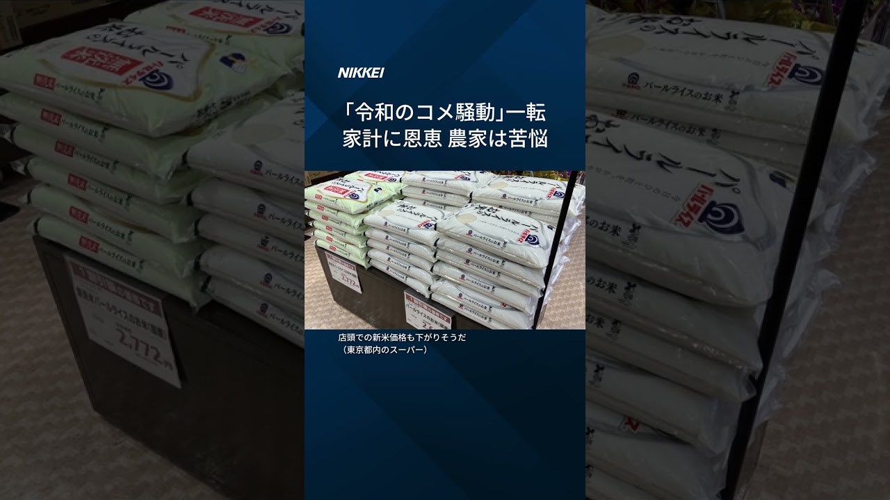 【新米の集荷価格4割安】記録的なコメ余り #shorts
