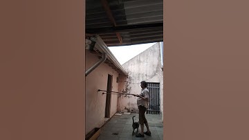 Double Spiral / Double Helix