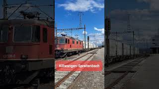 SBB Güterzug beim Bahnhof Killwangen-Spreitenbach, Kanton Aargau, Schweiz 2023 / #shorts